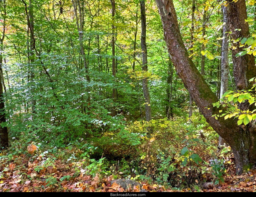 Garrett Creek Backroad Acres
